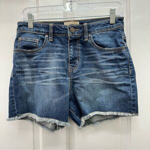 BKE raw hem high rise denim jean shorts women’s 27 style abk161